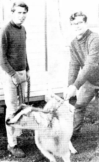 web hosting free www.ufastweb.com